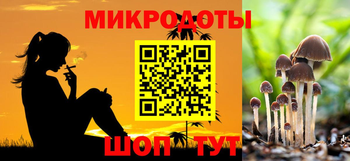 Псилоцибиновые грибы Magic Shrooms Владимир